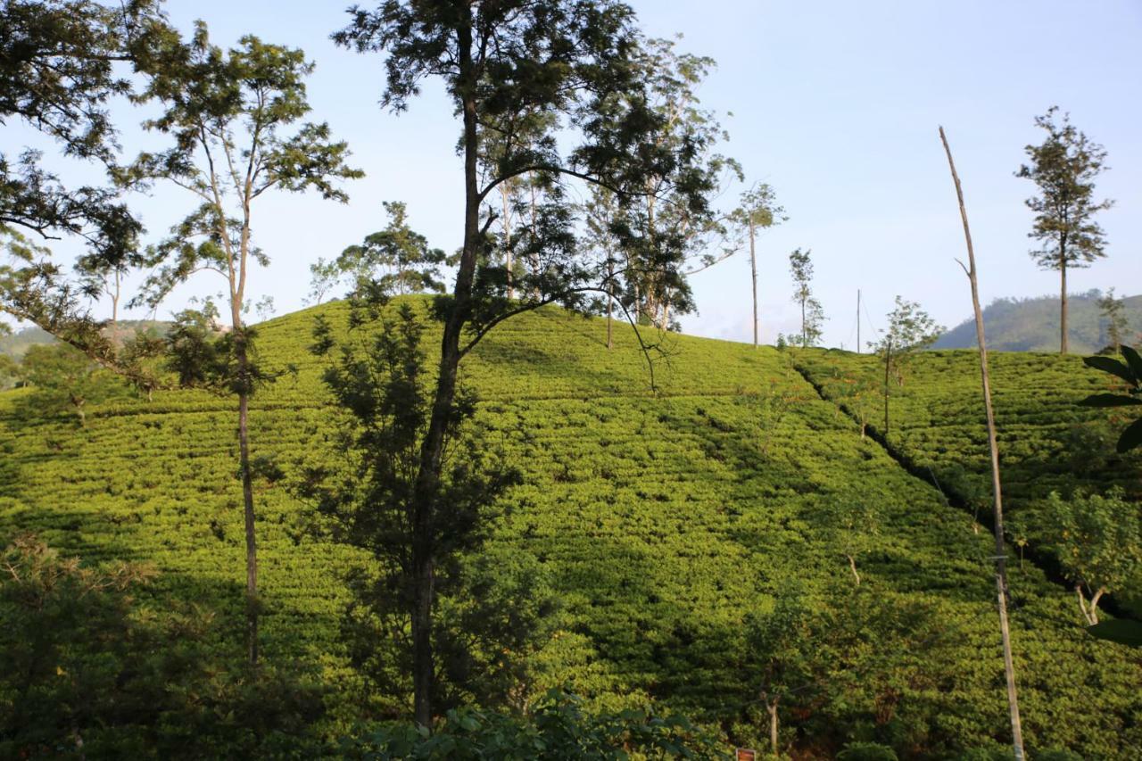 The Tea View Guest Ella Hotel Exterior photo